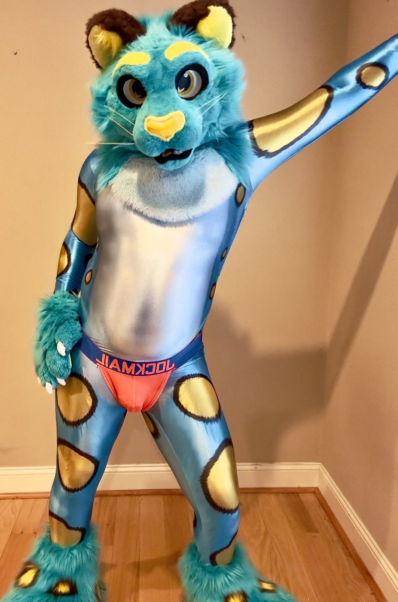 HardCidr16Bit's tweet photo. A little bit of ✨shiny✨ to go with the jock

#Jocktober
#FursuitFriday https://t.co/JIVs1WyrxP