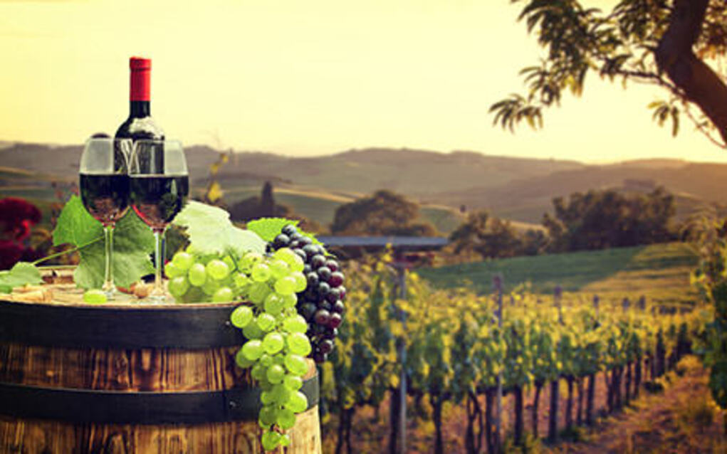 Red, always red 🍷🍇💜🇲🇩
#winelover #Moldova #autumnview