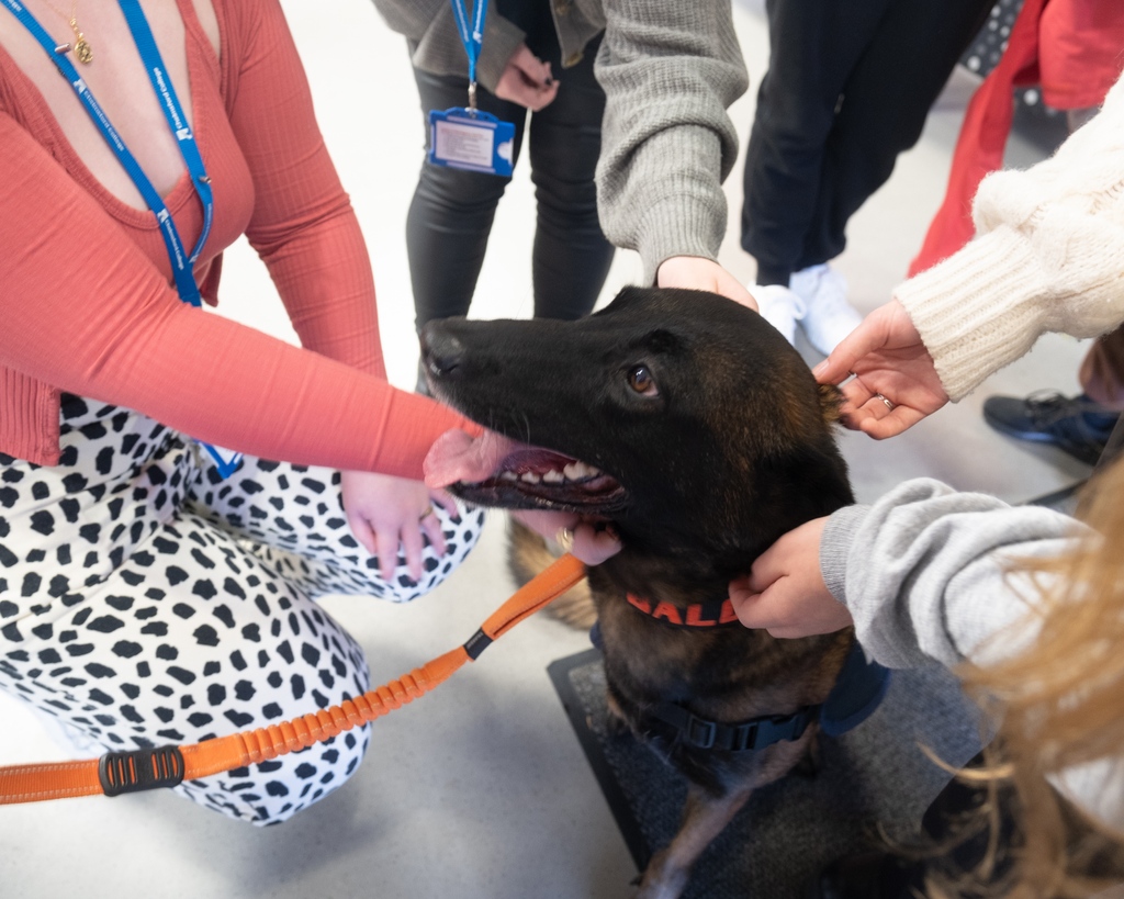 PRISE Week is over! It was a week filled with workshops and activities that addressed important topics in an exciting and interactive way!😁

We wrapped up today with some sports and visits from the inspiring Gavin Mckenna from <a href="/reach_every_gen/">Reach Every Generation</a> and PC Baloo🐶🤲
