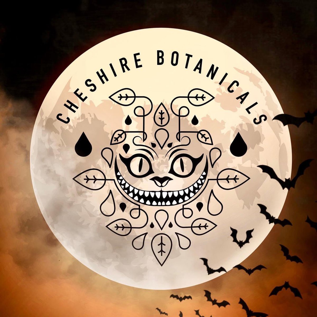 Great offer from the folks at @cheshirebotanicals &amp; @cheshiregin Enjoy FREE SHIPPING across their gin range from now until Monday. 📦

Tell them @lovelynantwich gave you the heads up.

Browse their gin range: nantwichgin.co.uk 🍸

#ginoclock #friday13th #friday13thoffer