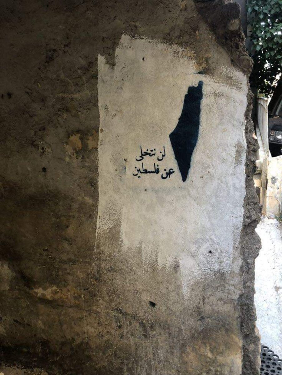 #Palestine 🇵🇸🇵🇸