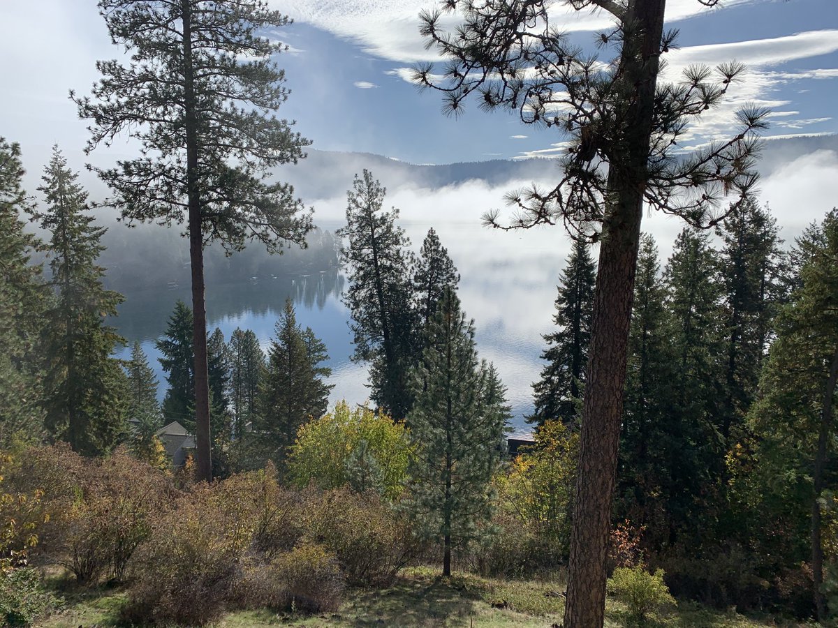 24cammo's tweet image. Fall