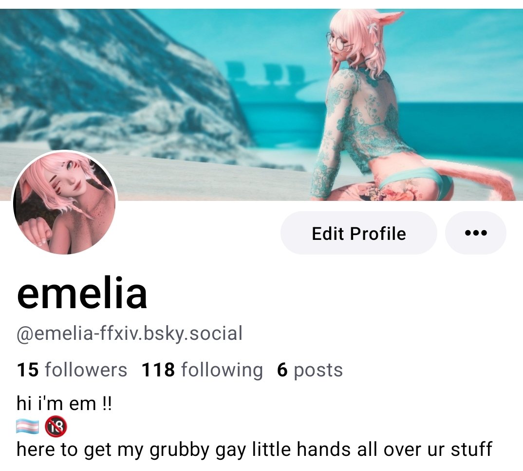 emelia (@emelia_ffxiv) / Posts / X