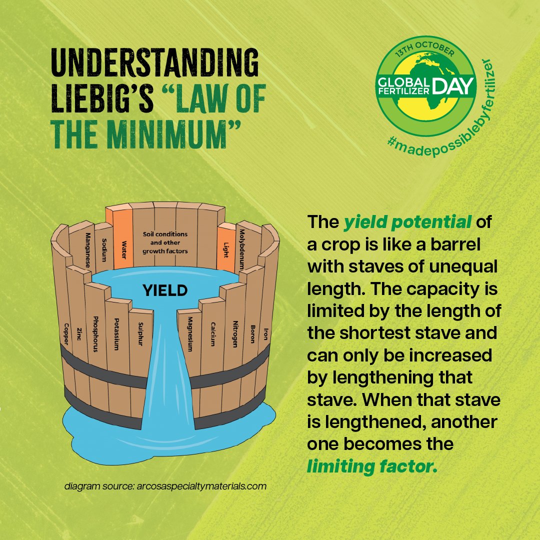 TopPotato Yara Canada tweet media