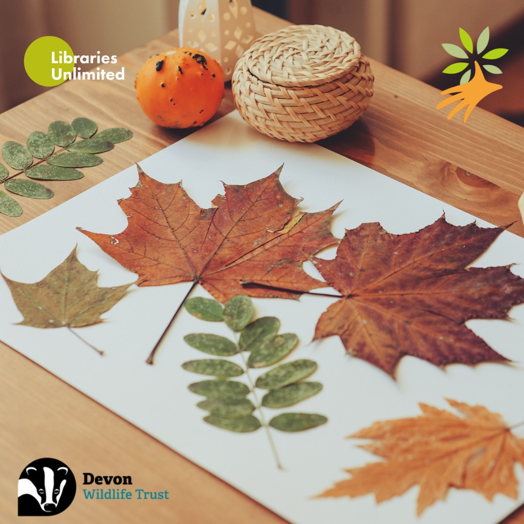 🍂FREE half term leafy craft event at Exeter Library on Wednesday 25th Oct.

Create a unique clay leaf bowl and explore leaf rubbing art. Run by @DevonWildlife, this event is part of the Saving Devon’s Treescapes Project.

📅WEDS 25 OCT
⏰10.30 to 12.30

#SaveDevonsTrees