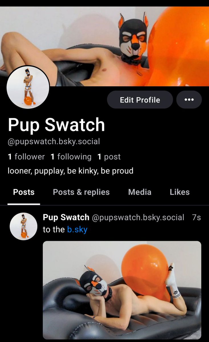 Also at blue.sky #looner #pupplay
 bsky.app/profile/pupswa…