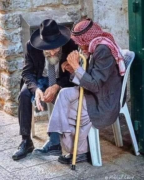 " La paix est le seul combat qui vaille d''être mené. " Albert Camus