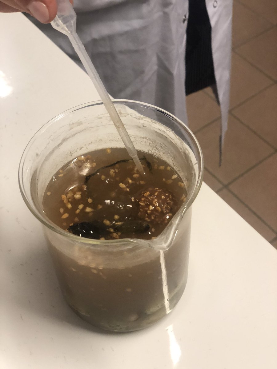 LCPME - UMR 7564 tweet media