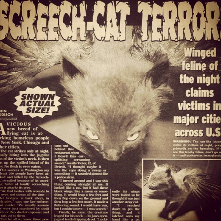 A #FlashbackFriday post 'purrrr'fect for an October #FridayThe13th ~ #Spooky #UrbandLegends
Read all about it here tumblr.com/rogue-taxiderm…