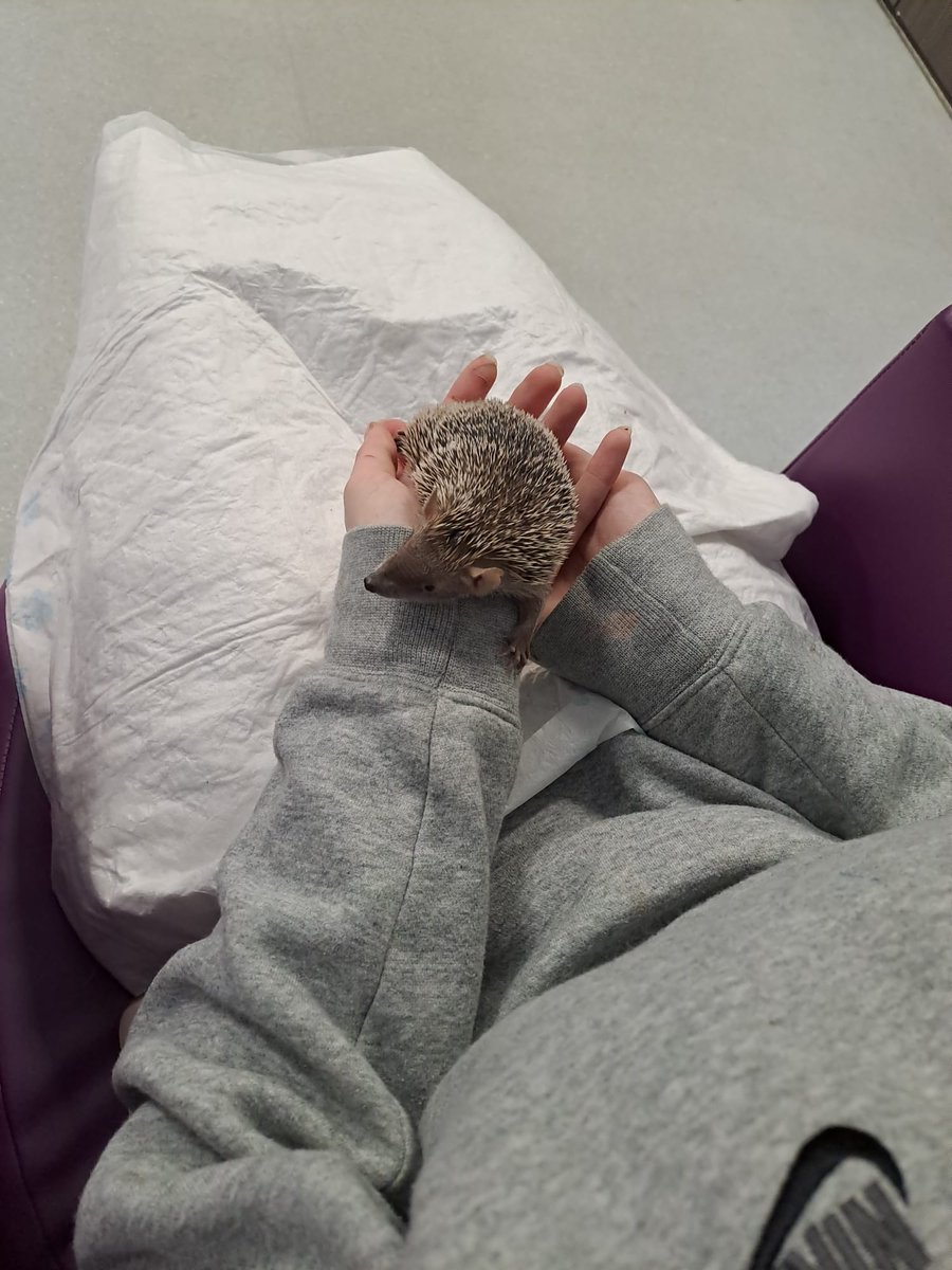 Caitlin Smith tweet media