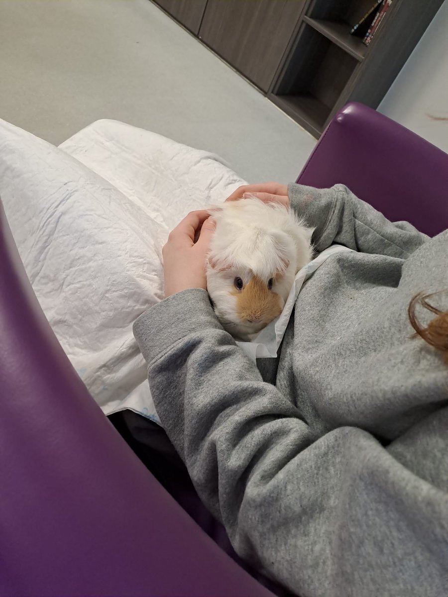 Caitlin Smith tweet media