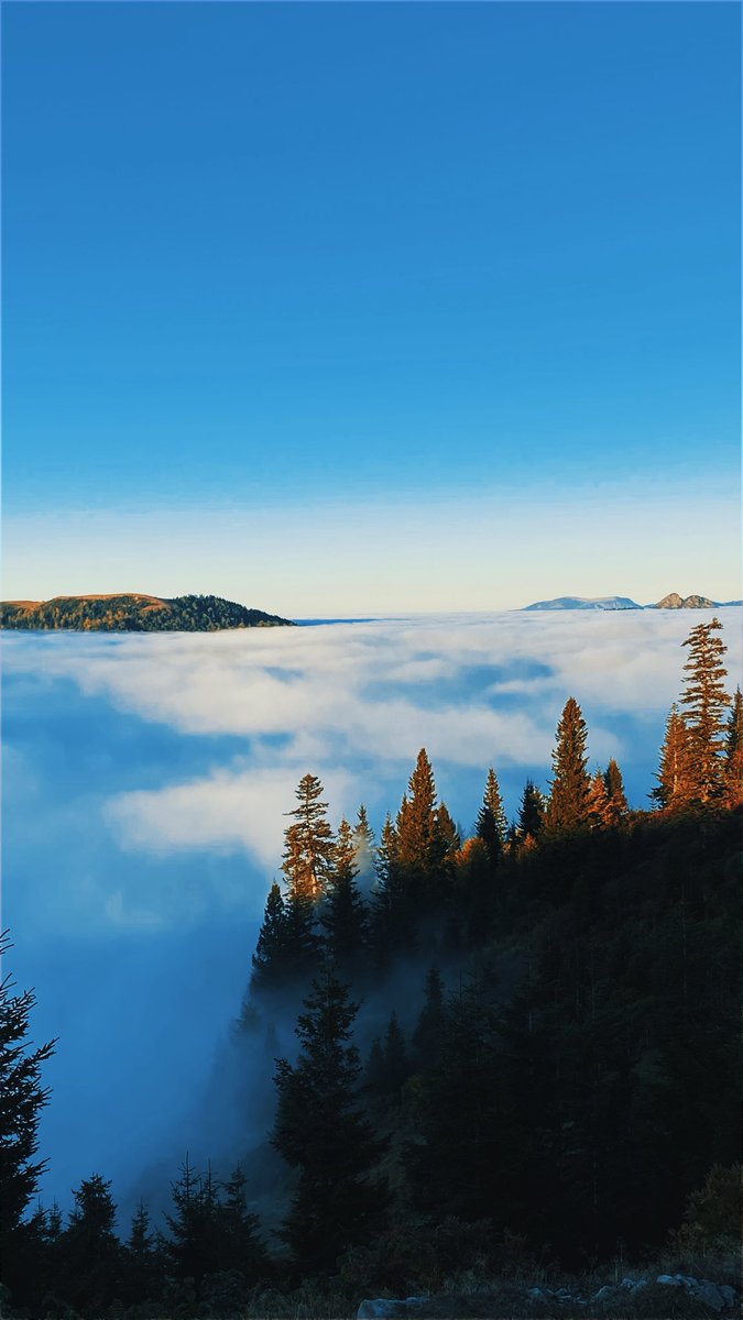 Bizim yaylayı beğenince alevli kalp çıkıyor 😳
#BrandedFeatures