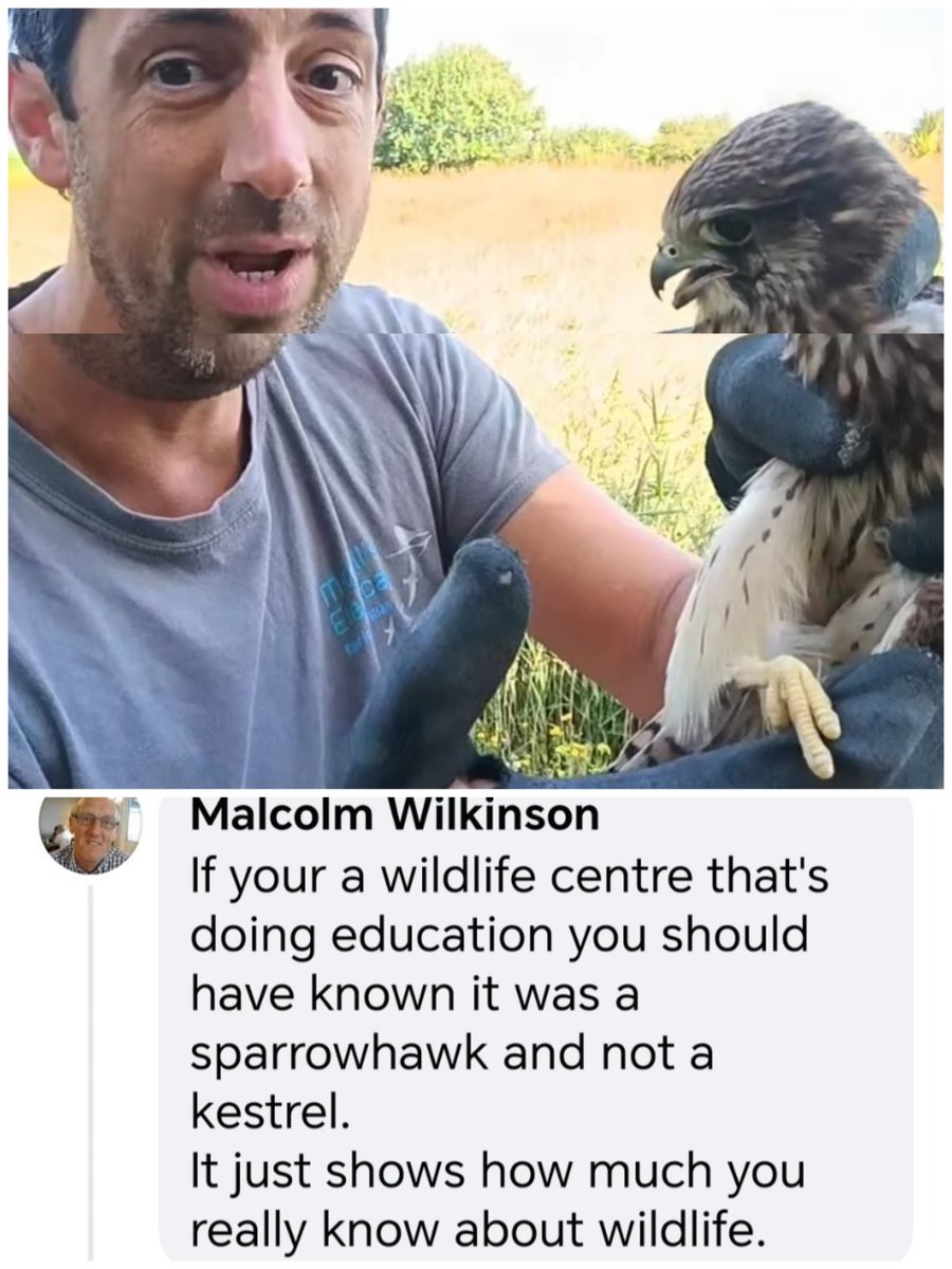 Get Wild 🐦 🦋 🐝 🍃 tweet media