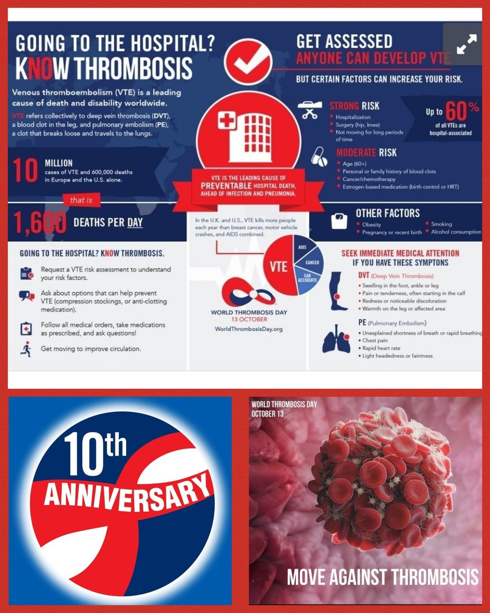 #WTD23 highlights the global health concern of clots. It brings attention to the underestimated risks of thrombosis &amp; promotes evidence-based strategies for prevention, treatment, and education utilising global partnerships with the aim of improving healthcare worldwide #WTD