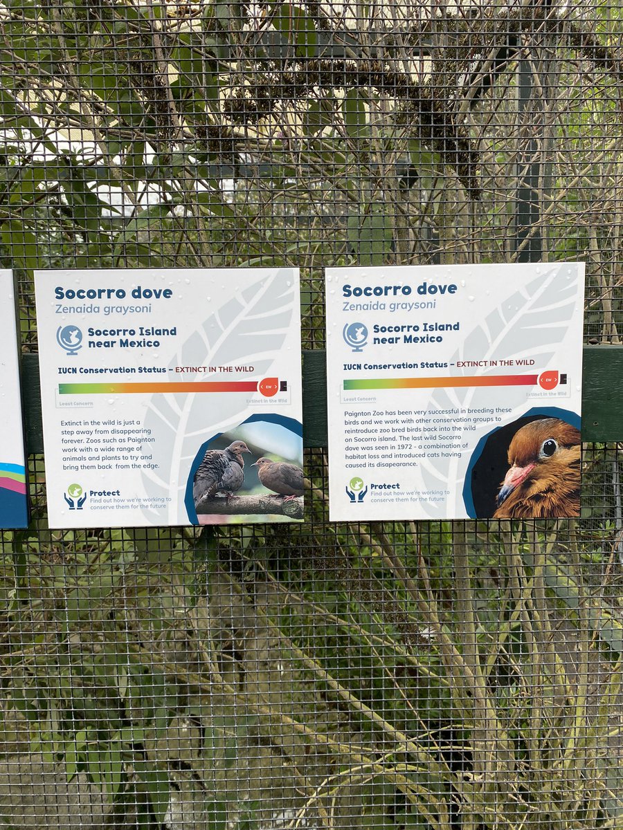 science_at's tweet photo. An interesting lesson on sustainability and Entomophagy, thank you @PaightonZ Some adventurous year 7s (&amp;teachers) tried the insects too. https://t.co/LnCBxqSebT
