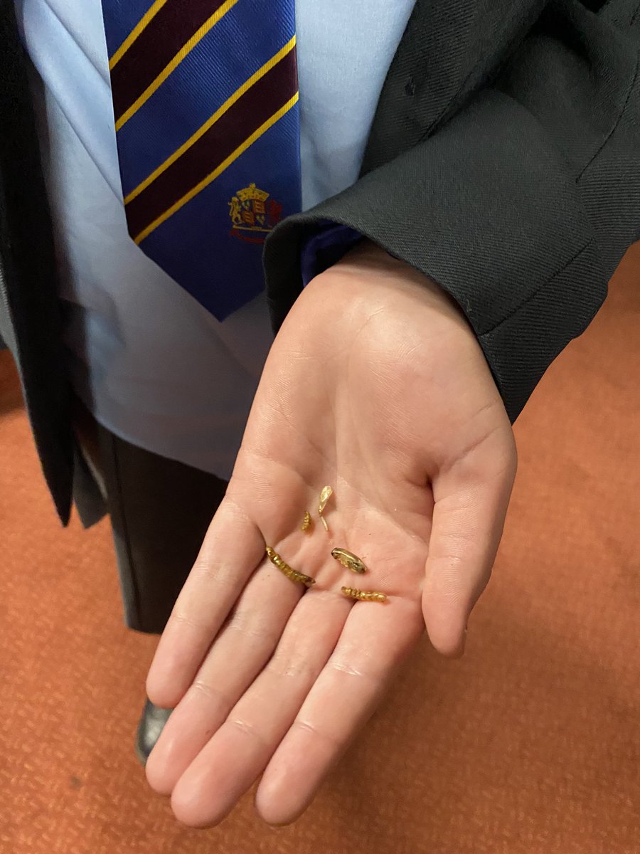 science_at's tweet photo. An interesting lesson on sustainability and Entomophagy, thank you @PaightonZ Some adventurous year 7s (&amp;teachers) tried the insects too. https://t.co/LnCBxqSebT