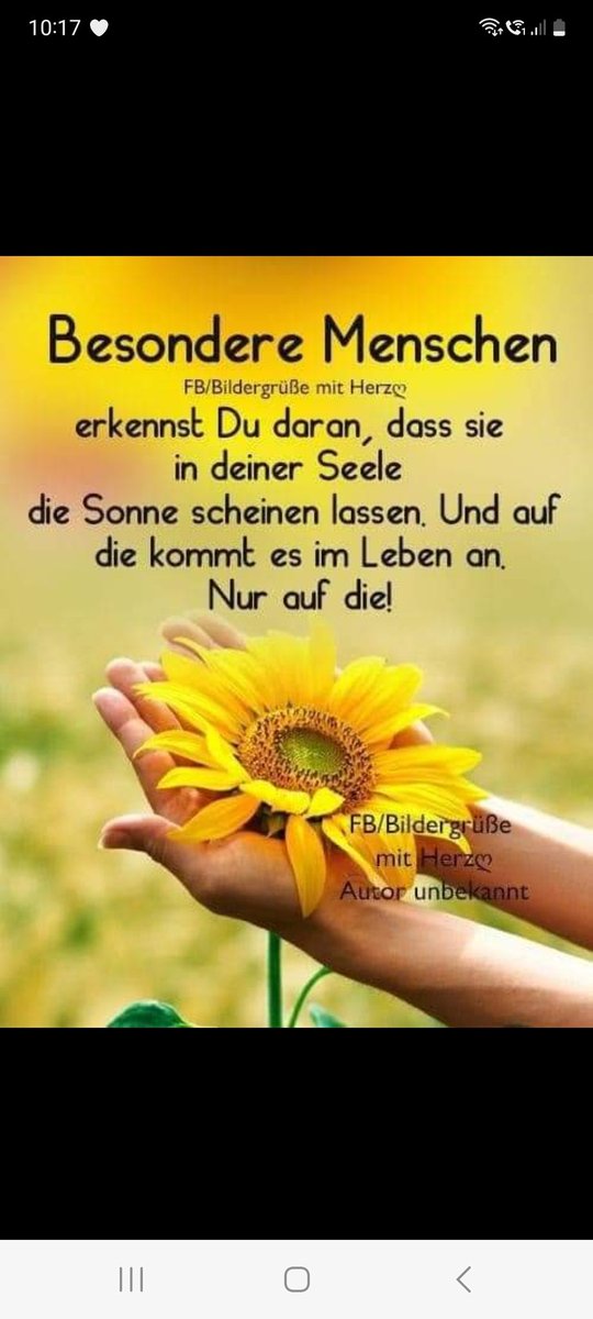 KuschelMagie's tweet photo. 🥰🥰🥰🥰🥰🥰🥰 https://t.co/eOS7PfJgnf