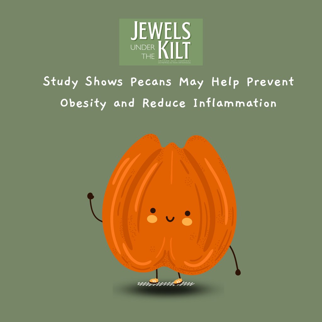 #Pecans May Help Prevent #Obesity + Reduce #Inflammation, Study Shows

Scientists are advocating for pecans to join the 'superfood' club! 
🥜🌿💪 #pecanpower bit.ly/46qoVmt via @scidotnews⁠⁠

⁠#jewelsunderthekilt #mapleroastednut #diabetes #functionalfoods #healthynut