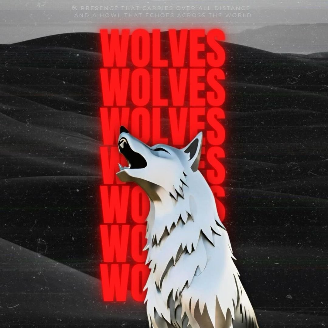 ArabiaWolves's tweet image. A howl that echoes across the world 🐺

#wolvesbaseball #dubai
