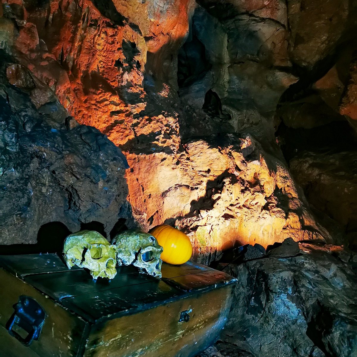 Kents Cavern Prehistoric Caves tweet media