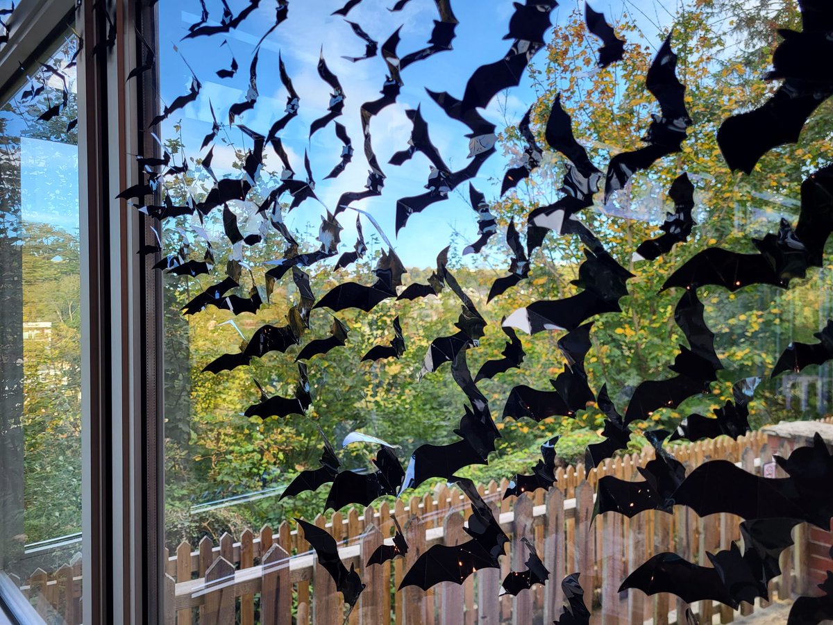 Not sure what to do this half-term? Keep your little monsters entertained with A Very Batty Half-Term!🦇  Take part in some bat-astic activities:
🎨Craft Bats
🖋️Bat Challenge
🃏Batty Joke Trail
🎃Pumpkin Hunt
⚖️Guess the weight of the Pumpkin
👻Fancy Dress
kents-cavern.co.uk/events/detail/…