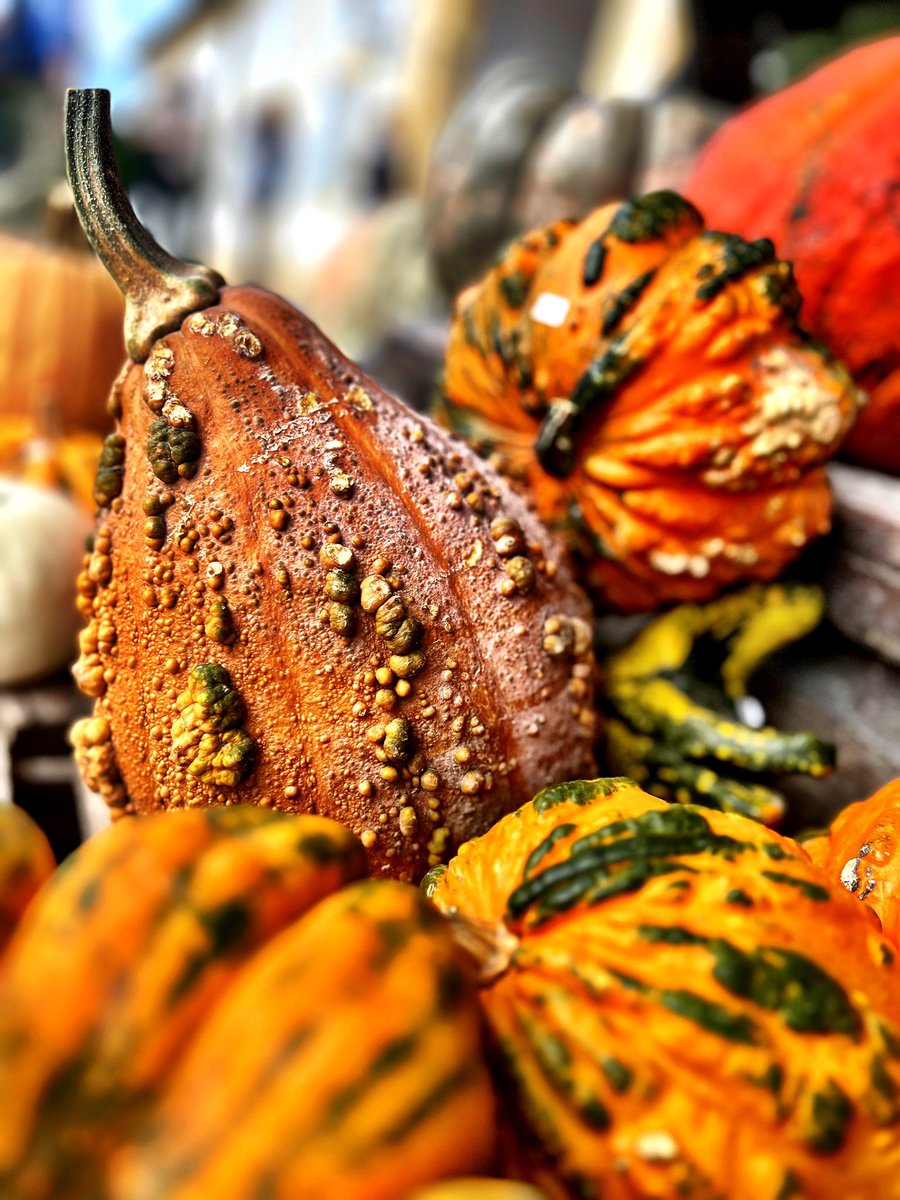 Seasonal abundance 👌 #AutumnPhotography #pumpkinseason #photography