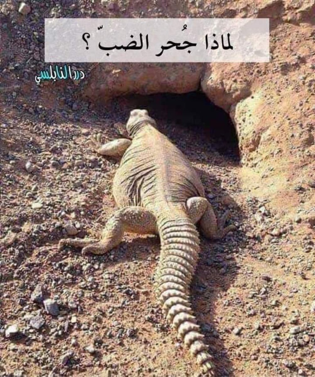Abdulraman9 tweet picture