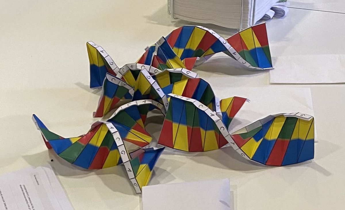 Jamie Auxillos tweet media