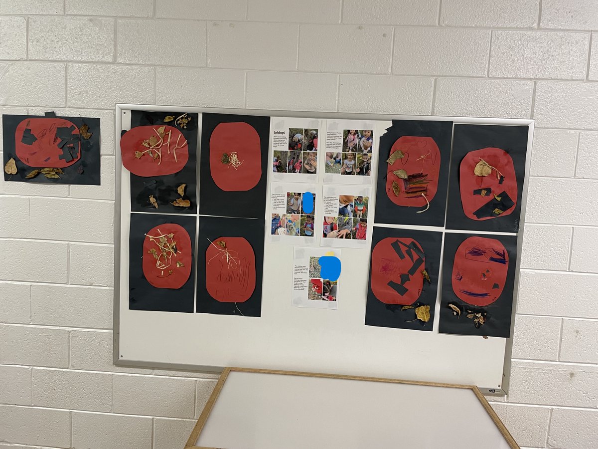 SacredHeart_MJ's tweet photo. Our Pre-K's art of Lady Bugs getting ready for winter. @HolyTrinitySD @SacredHeart_MJ https://t.co/Zt1yeTtcUe