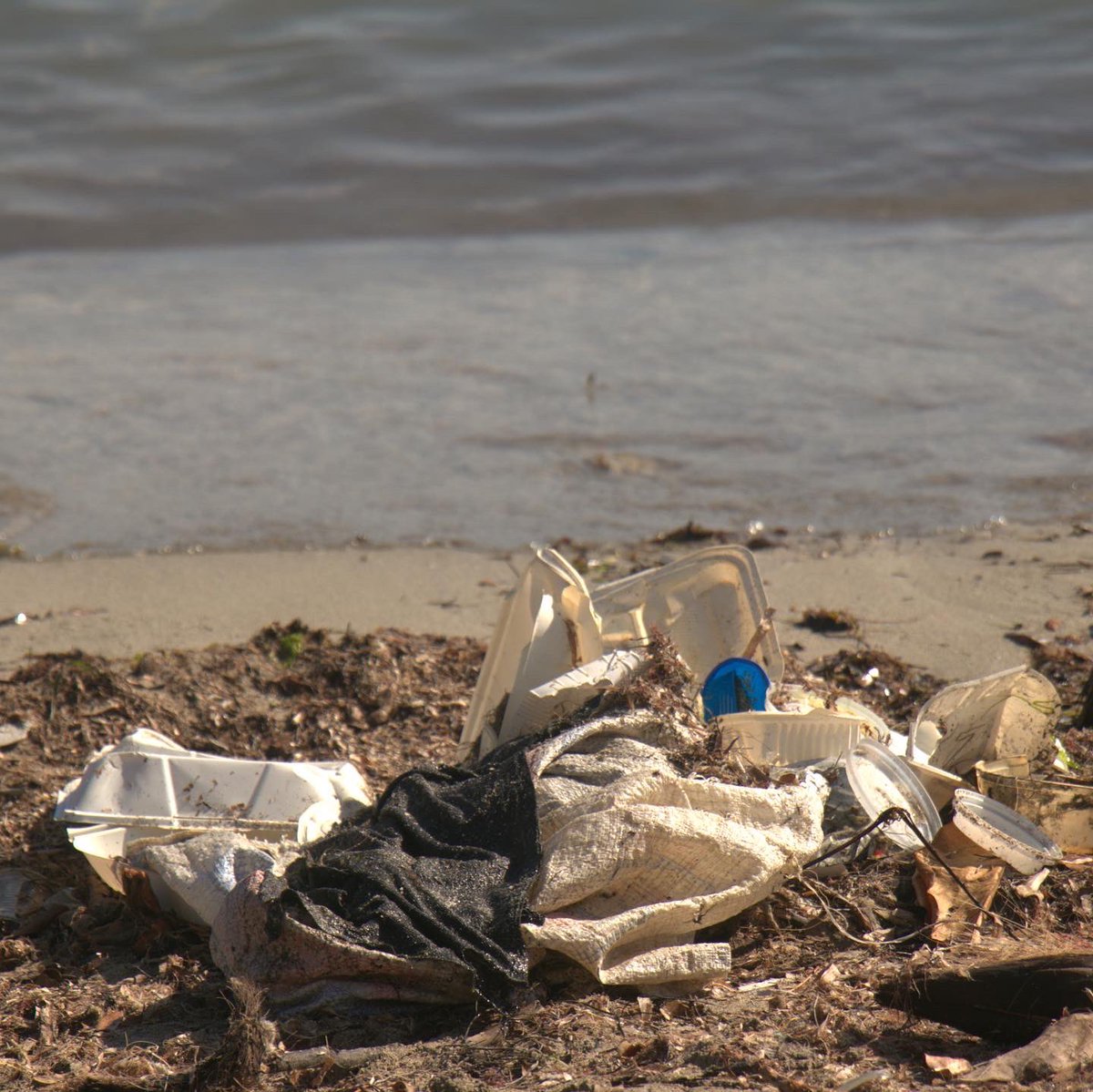 NorthGateHigh's tweet image. These at a few images from the most recent NGH beach cleanup exercise which was conducted on Saturday, September 16. We believe our efforts have contributed to a safer and cleaner environment. Let’s continue to take care of our home!
@jamentrust
@nuhduttyupja