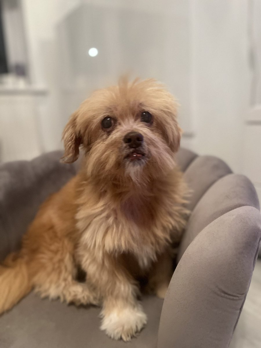 Gal Gateaux tweet media