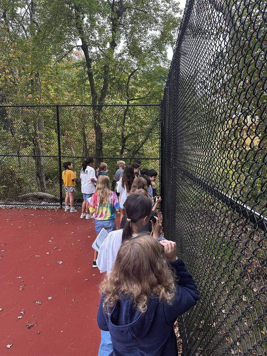 The 5H ornithologists had a very successful morning listening to and observing birds!