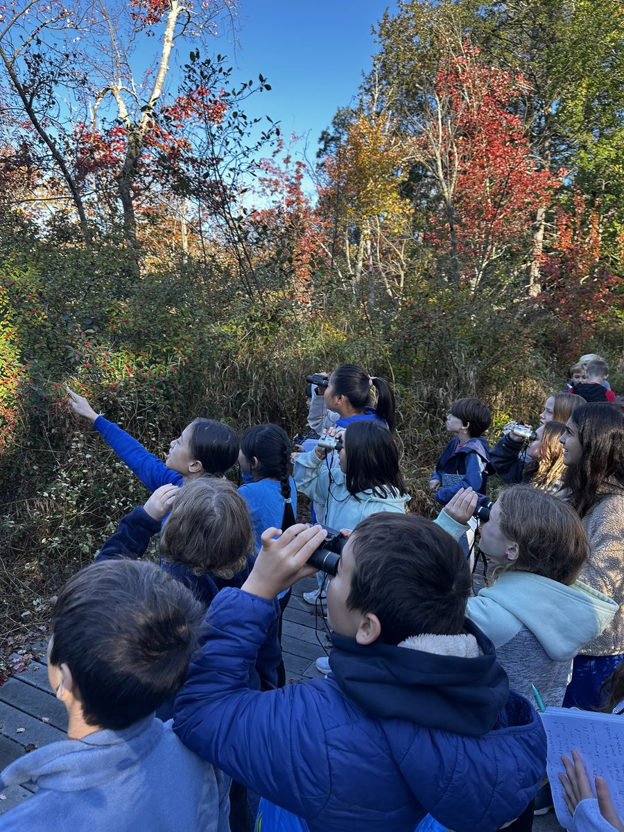 Today we saw a Northern Mockingbird and a really chunky Robin!