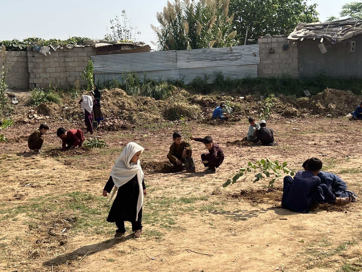 Uroojsayyami's tweet photo. Thank you so much #Chairman #CDA Chief Commissioner #Islamabad @CDAthecapital for providing #Plants for #Green #Environment in the well deserved #CommunitySchool at E13 #Golra #Islamabad this #StarSchool needs your more kind attention and generosity for the #Toilet installation and #Cleanwater we can’t say thanks enough to your kindness Jazak Allah 🙏🕋💝 #Mentoring #Youthleadership for #Peacebuilding 
@Ali_Abbas_Zaidi @CIL_HIVE @HivePak @membercda
