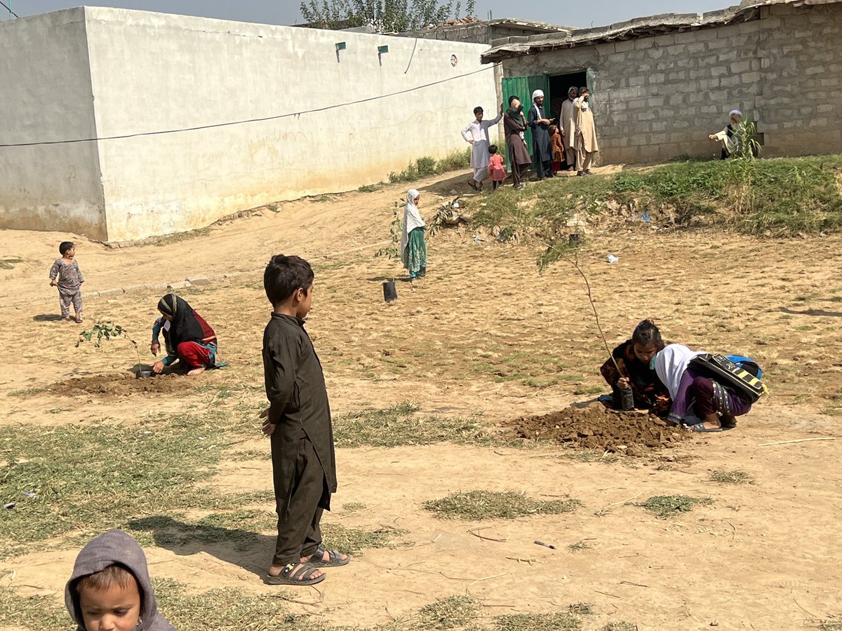 Uroojsayyami's tweet photo. Thank you so much #Chairman #CDA Chief Commissioner #Islamabad @CDAthecapital for providing #Plants for #Green #Environment in the well deserved #CommunitySchool at E13 #Golra #Islamabad this #StarSchool needs your more kind attention and generosity for the #Toilet installation and #Cleanwater we can’t say thanks enough to your kindness Jazak Allah 🙏🕋💝 #Mentoring #Youthleadership for #Peacebuilding 
@Ali_Abbas_Zaidi @CIL_HIVE @HivePak @membercda