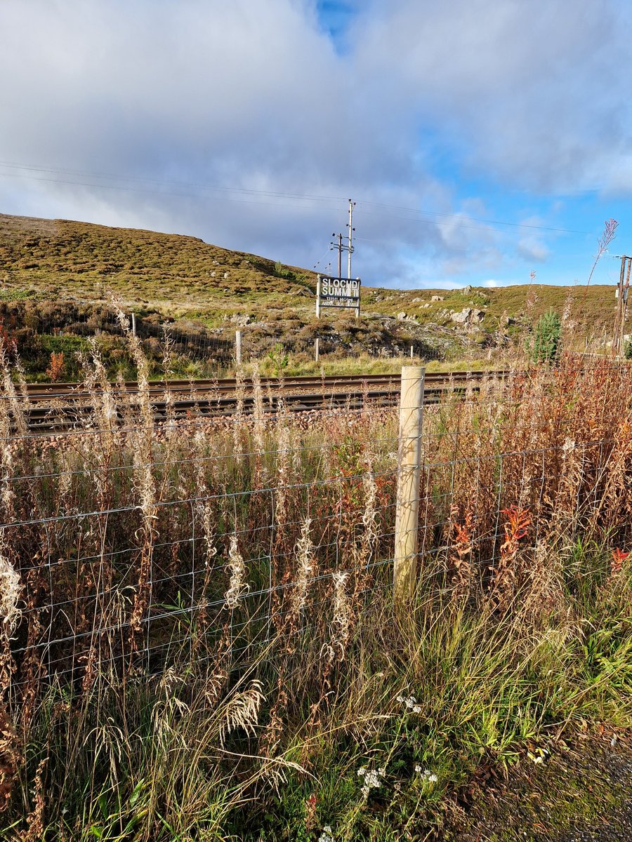 The 230 to Paradise for The Celtic Fc Foundation (@230toparadise) on Twitter photo 