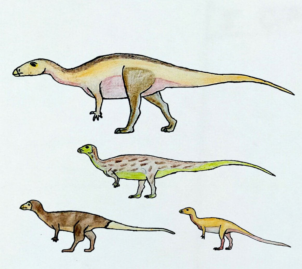 Some other ornithopods In the Morrison formation.

camptosaurus dryosaurus Nanosaurus and fruitadens

#Camptosaurus #Dryosaurus #Nanosaurus #Fruitadens #Mesozoic #Dinosaurs #Paleoart #Drawanimals #Drawdinosaurs #drawtober2023