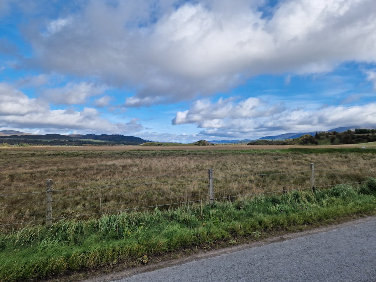 That's the lot from my camera 🍀