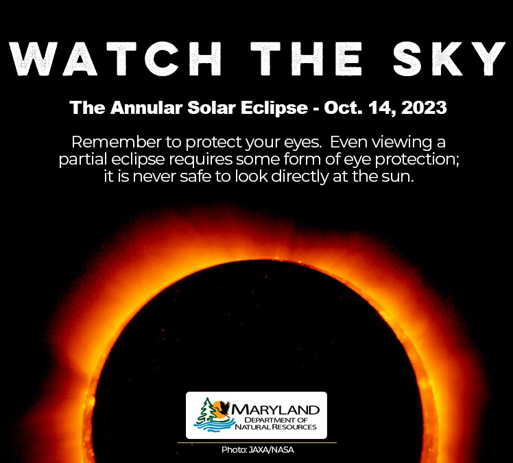 Maryland DNR on X: &ldquo;The “Ring of Fire” solar eclipse takes place 