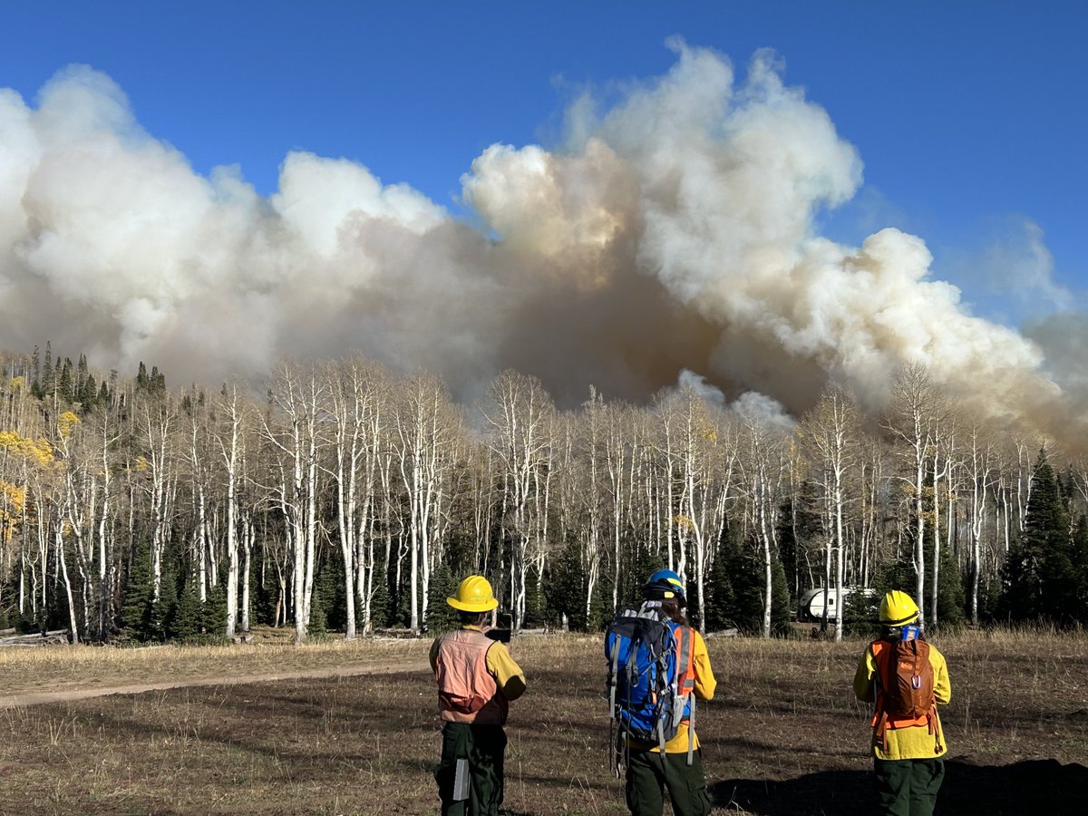 IAWF on X: Join us November 17, 8 AM-9AM PST for a crucial discussion on  Integrating Public Health into Forest and Fire Management with Savannah M  D'Evelyn, a leading expert in the