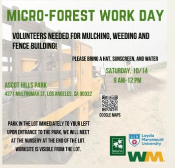 The Ascot Hills microforest preparations continue! Come through from 9 am to 12 noon tomorrow for friend-making, mulching. weeding and fence-building. Hope to see you there!
