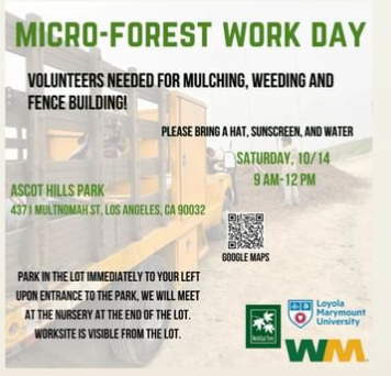 The Ascot Hills microforest preparations continue!

Come through from 9 am to 12 noon tomorrow for friend-making, mulching. weeding and fence-building.

Hope to see you there!