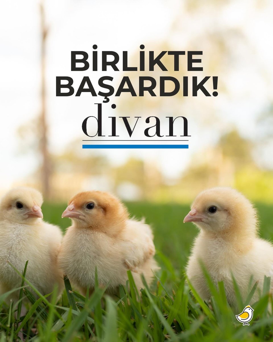 Divan Grup kabuklu yumurtalar için kafes sistemini tamamen terk ettiğini açıkladı! 🥳 Bir imzayla hayvanları kafeslerden çıkarabilmemiz mümkün! ✅Lütfen siz de bu ilerlemeyi paylaşın ve çevrenizden Kafessiz Türkiye’yi takip etmelerini rica edin. divan.com.tr/haberler-basin