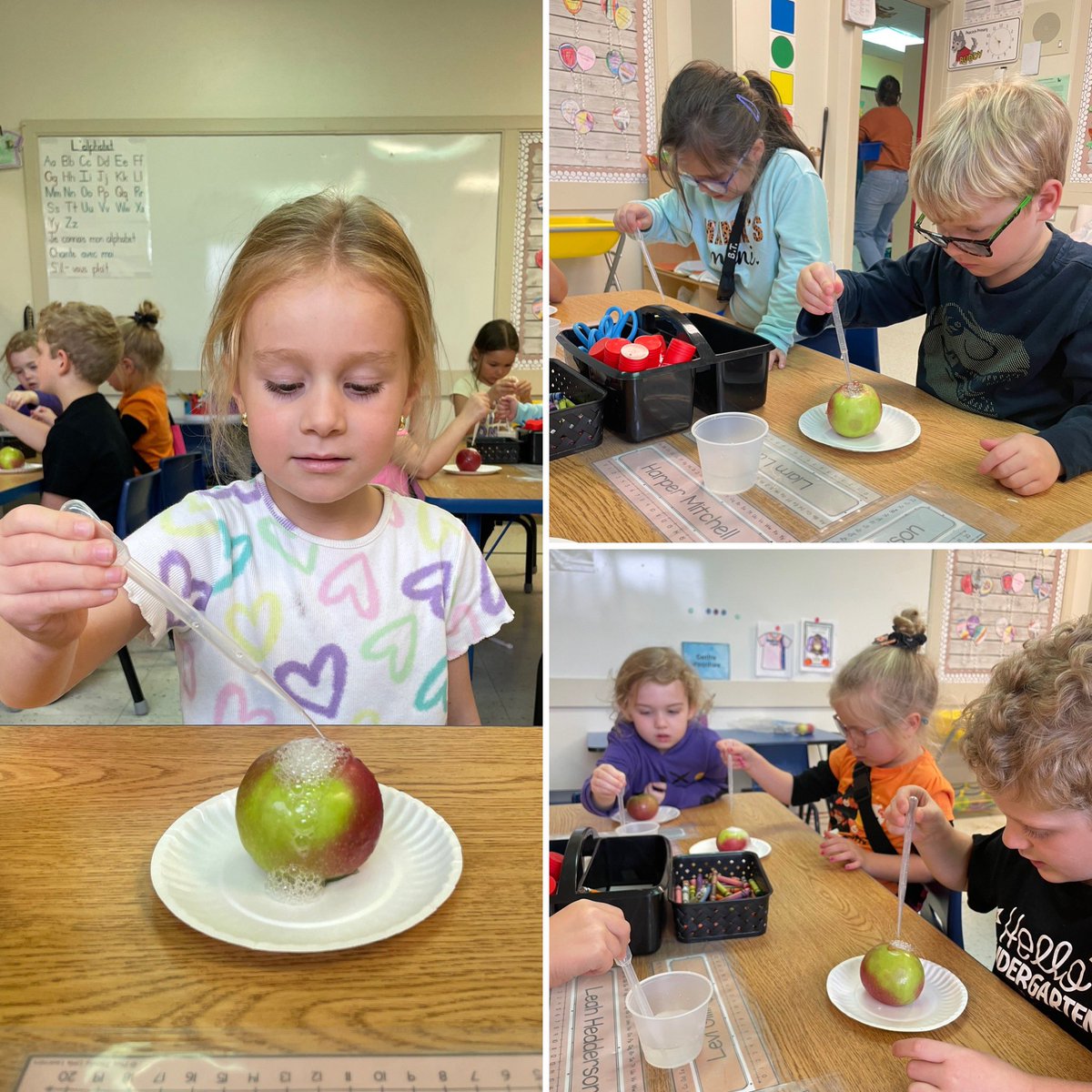 Brianna Mullins tweet media