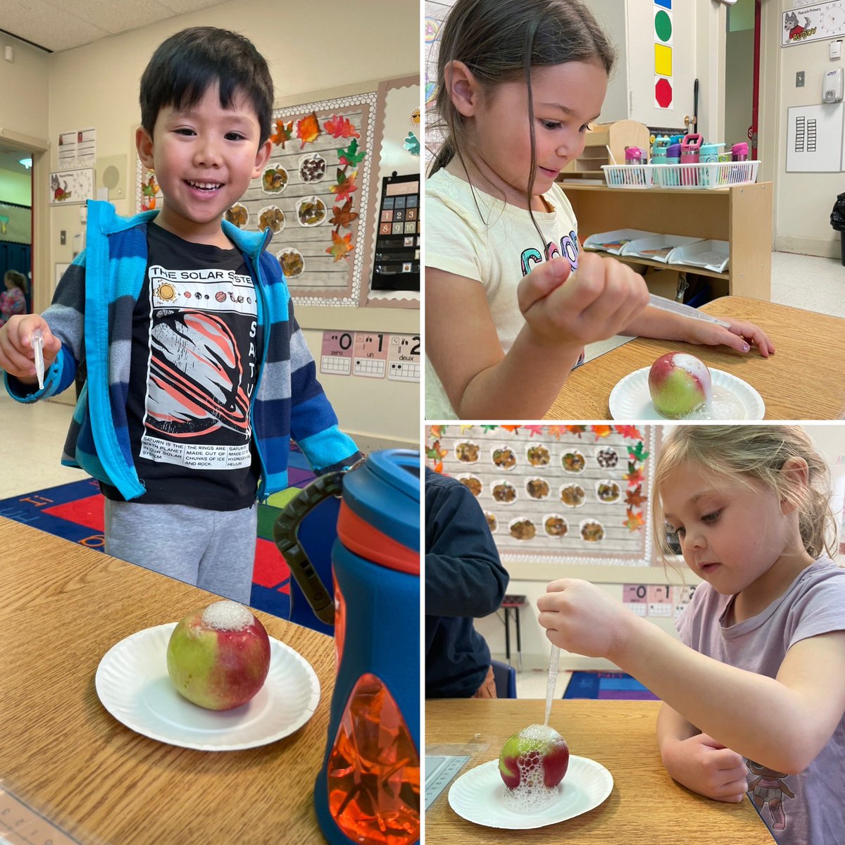 Brianna Mullins tweet media