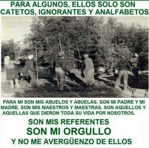 Gollo Iberico (@golloiberico) on Twitter photo 