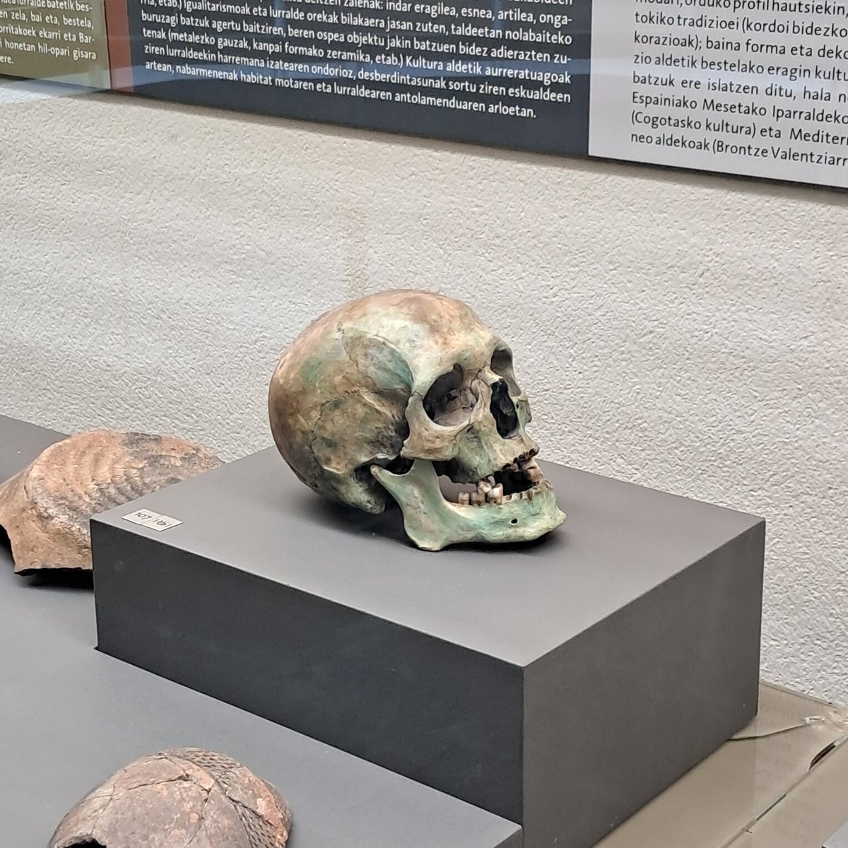 iker_gb89's tweet photo. #MuseoDeNavarra https://t.co/Z5rLcfQMC9