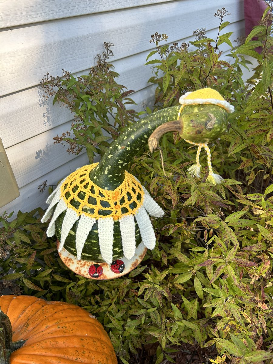 jenxor's tweet photo. so last year in PA I saw these gourds for sale labeled as  a “dressed goose” and have since regretted not buying one because come on how cute. so THIS year, I made my own in a little daisy dress😂😂😂 https://t.co/URlOArSpLu