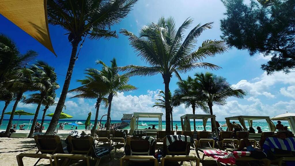 Heather Asbell tweet media