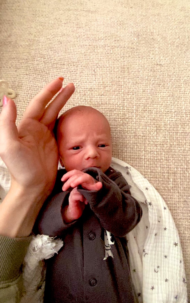 Ontheboldstep's tweet photo. My hand beside his tiny little head 🥹🥰 🩵 #10daysold https://t.co/5iv1PojSQZ